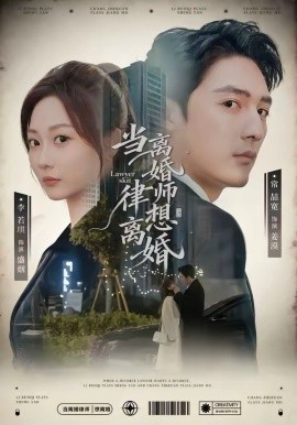 当离婚律师想离婚(全集)
