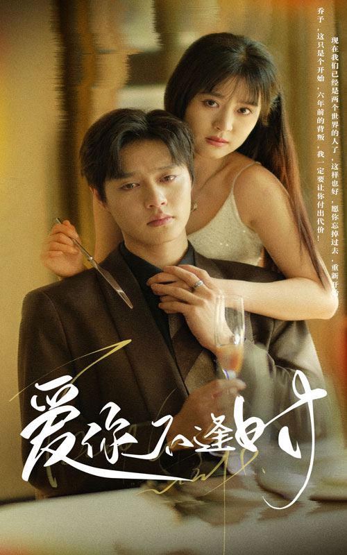 爱你不逢时 第25集