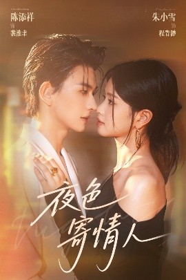 夜色寄情人(全集)