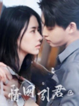 情网引君(全集)