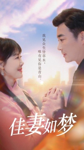 佳妻如梦短剧(全集)
