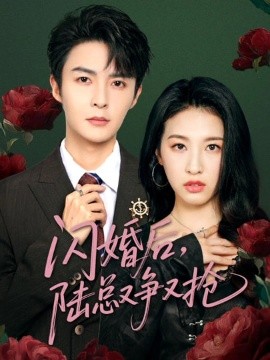 闪婚后陆总又争又抢(全集)