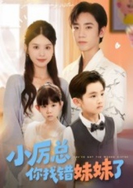 小厉总你找错妹妹了(全集)