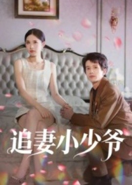 追妻小少爷(全集)
