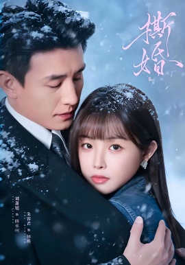 撕婚(全集)
