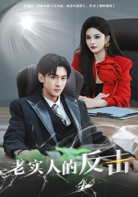 老实人的反击(全集)
